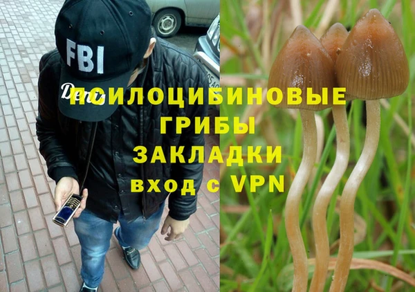 гашиш Белокуриха